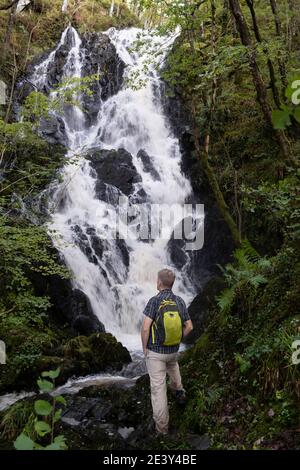 Walker neben dem Pulhowan Wasserfall in der, RSPB Schottland, Wood of Cree Naturschutzgebiet in der Nähe von Newton Stewart, Galloway, Schottland. Stockfoto