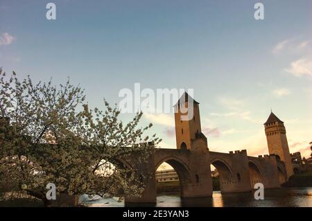 Cahors (Frankreich). Valentre Brücke über den Fluss Lot in der Abenddämmerung. Blühender Baum. Stockfoto