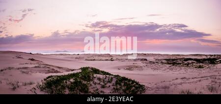 Sonnenaufgang Scape entlang des weißen Sandstrands in Myall Lake Nationalpark Stockfoto