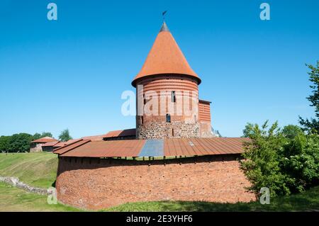 Kaunas Castle, Kaunas, Litauen Stockfoto