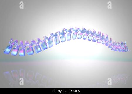 Moderne 3d-Darstellung der menschlichen Wirbelsäule in horizontaler Position Stockfoto
