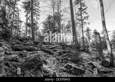 Schwarz-Weiß-Bild der Hausstein-Gipfel Rusel Ruselabsatz bei Geisslinger Stein Königstein im Bayerischen Wald Nahe Deggendorf an Stockfoto