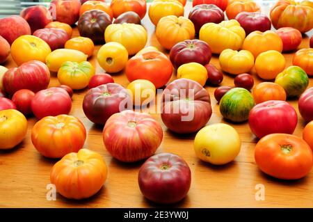 Süße Erbstück Tomaten frisch gepflückt Stockfoto