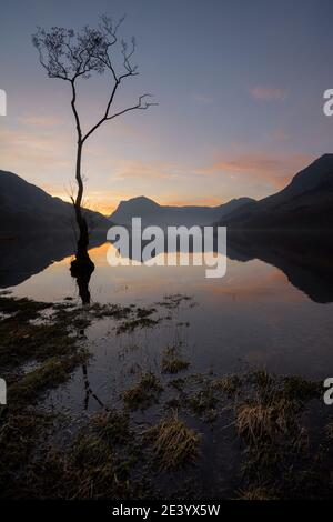 See-Reflexionen bei Sonnenaufgang mit hohem einbunter Baum. Buttermere, Lake District, Großbritannien. Stockfoto