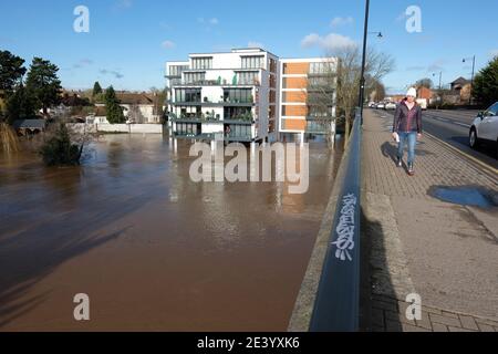 Hereford, Herefordshire - Donnerstag, 21. Januar 2021 - EIN Fußgänger spaziert über die Greyfriars Bridge während das Hochwasser einen Appartementblock auf Stelzen am Fluss Wye umgibt - der Fluss Wye wird voraussichtlich heute Abend auf 5.3 Metern ihren Höhepunkt erreichen. Foto Steven May / Alamy Live News Stockfoto