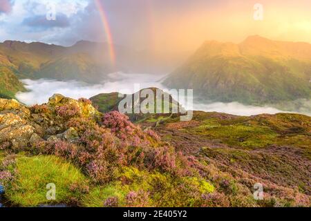 Atemberaubender Sonnenaufgang mit Regenbogen über dem Wolkental. Die mit Heidekraut gefüllte Landschaft wurde im Lake District, Großbritannien, aufgenommen. Stockfoto