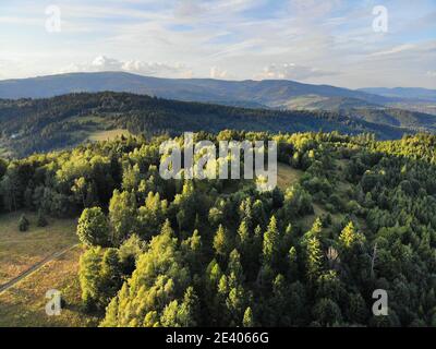 Beskids Berge in Polen. Landschaft von Zywiec Beskids (Beskid Zywiecki) bei Milowka. Stockfoto