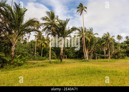 Fußballplatz unter Palmen auf den Deboyne-Inseln, Papua-Neuguinea Stockfoto