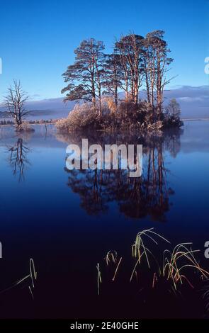 Reflexionen über Loch Mallachie Stockfoto