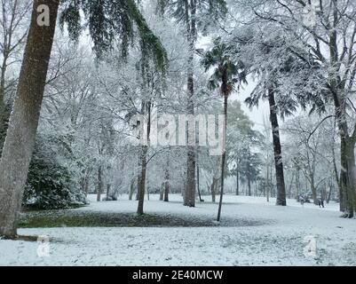 Panoramablick auf einen faszinierenden Wald mit schneebedeckten Bäumen Ein Tag Stockfoto