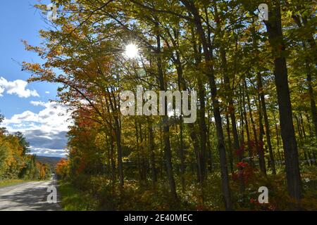 La Route du lac carré en automne, Sainte-Apolline, Québec Stockfoto