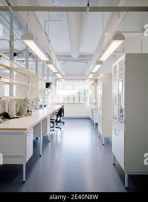 Pfizer Lab Pharmakonzerne, Pharmaunternehmen, ditta farmaceutica, consorcio farmacutico , schweden, schweden, Svezia, Suecia, Europa, Europe Archi Stockfoto