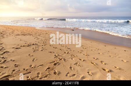 Fußabdrücke an einem tropischen Sandstrand bei Sonnenuntergang. Stockfoto