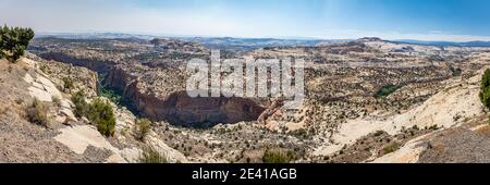 Blick auf den Calf Creek Canyon und die Lower Calf Creek Falls Weg vom Calf Creek Aussichtspunkt entlang der Hogback Sektion Von Utah Highway 12 in Grand Stairca Stockfoto