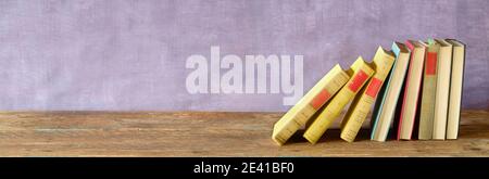 Buchreihe, Panorama, großer Kopierraum, Lesen, Bildung, Home Office, zurück zur Schule Konzept Stockfoto