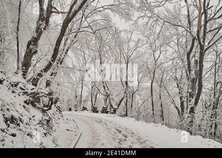 Winterlandschaft. Gasse in der Stadt schneebedeckten Park. Lechebniy Park in Schelesnovodsk, Russland Stockfoto