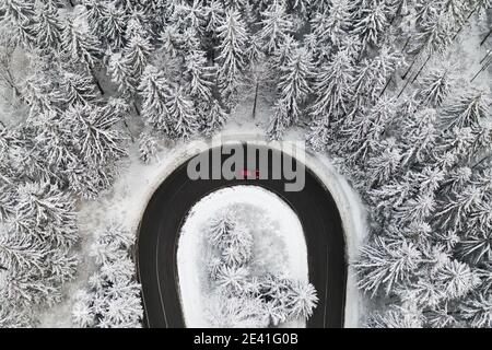 Luftaufnahme auf der Straße im Wald mit einem Auto im Winter. Winterlandschaft mit hohen Pinien mit Schnee bedeckt. Stockfoto
