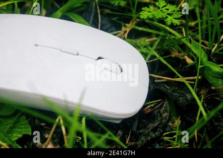 Computer Maus auf dem Gras Stockfoto