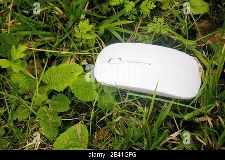 Computer Maus auf dem Gras Stockfoto