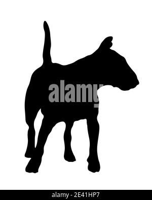 Schwarze Silhouette von Bull Terrier Hund isoliert auf weißem Hintergrund. Hochwertige Fotos Stockfoto