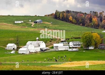 Amischen Lebensstil in und um Sugarcreek und Millersburg Ohio OH Stockfoto