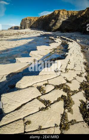 Schichten von Jurassic lias Kalkstein am Strand bei East Quantoxhead, wo die Quantock Hills das Meer in Somerset UK erreichen Stockfoto