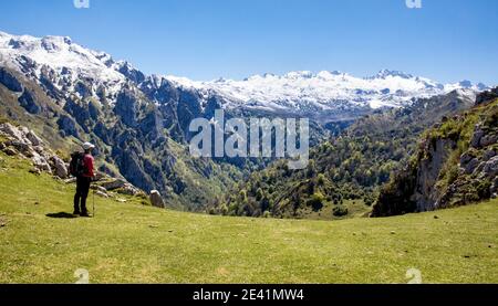 Walker mit Blick auf die zerklüftete Collau los buitres Die Hochalp von Pandescura in den Picos de Europa Berge von Nordspanien in der Nähe von Bobia Stockfoto