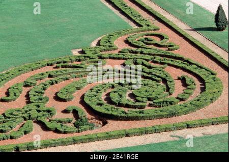 Parterre-Ornament Stockfoto