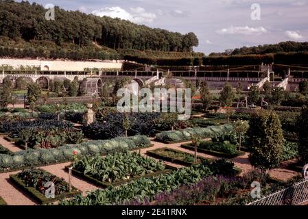 Gem¸segarten Stockfoto