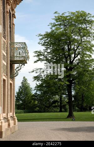 Schloßfassade mit Blick in den Landschaftsgarten Stockfoto