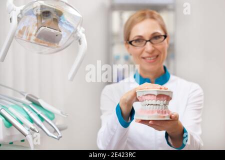 Selektiver Fokus auf eine Zahnform in den Händen einer reifen Zahnärztin, Kopierraum. Professionelle Zahnarzt posiert mit Prothesen Modell in ihren Händen, SM Stockfoto