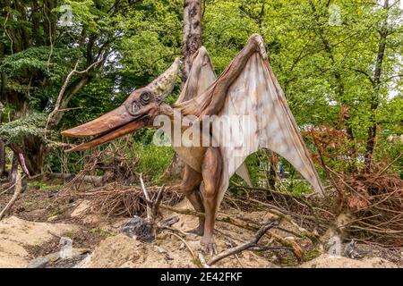 Aalborg, Dänemark - 25 Jul 2020: Dinosaurier in natürlicher Umgebung und in lebensechter Größe, Stockfoto