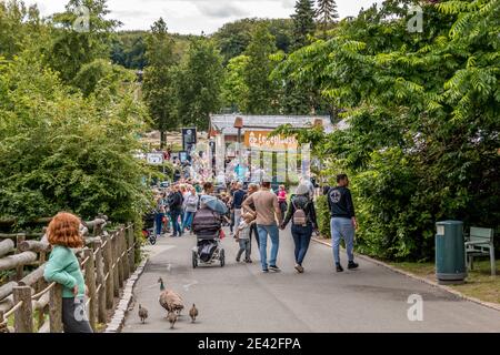 Aalborg, Dänemark - 25 Jul 2020: Viele Menschen im Aalborg Zoo an einem schönen Sommertag, Stockfoto