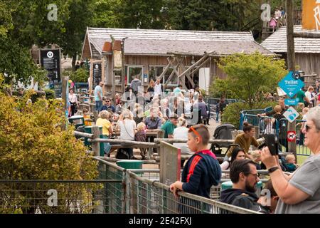 Aalborg, Dänemark - 25 Jul 2020: Viele Menschen im Aalborg Zoo an einem schönen Sommertag, Stockfoto