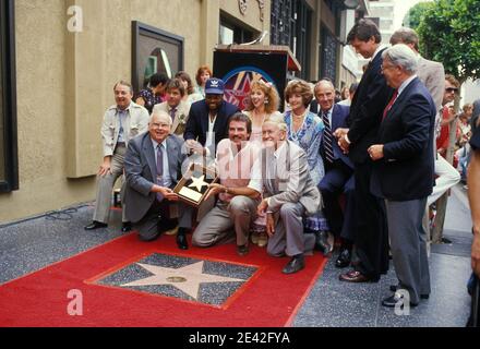 John Hillman, Larry Manetti, Roger E. Mosley, Jillie Mack und Tom Selleck am 4. Juni 1986 als Star auf dem Hollywood Walk of Fame geehrt.Quelle: Ralph Dominguez/MediaPunch Stockfoto