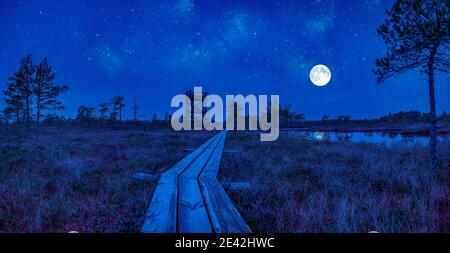 Blick auf Sumpf mit Aussichtsturm und Holzweg, kleine Teiche und Pinien bei Nacht mit Vollmond und Sternenhimmel. Wanderweg mit Holzwanderung Stockfoto