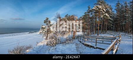 Schneebedeckter Kiefernwald an sonnigen Tagen im Winter. Panoramablick auf Nadelwald mit Holzweg in der Nähe der Küste gegen schönen blauen Himmel Stockfoto