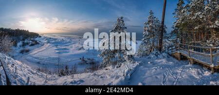 Panoramablick auf schneebedeckten Strand mit Dünen und Ostsee von Nadelbäumen Wald im Baltikum umgeben. Stockfoto