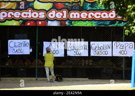 Guacara, Carabobo, Venezuela. Januar 2021. Januar 21, 2021. Die Gemüsepreise werden in einem Land, das von der Wirtschaftskrise betroffen ist, in vollem Umfang unter den potenziellen Käufern festgelegt. Foto: Juan Carlos Hernandez Kredit: Juan Carlos Hernandez/ZUMA Wire/Alamy Live News Stockfoto