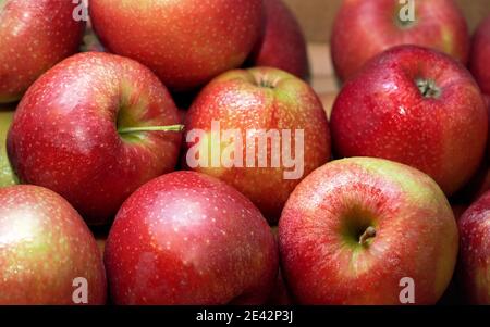 Leuchtend rote Äpfel, mit wenigen nassen Tropfen, auf dem Lebensmittelmarkt dargestellt, Nahaufnahme Detail Stockfoto