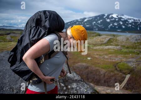 Kaukasisch Aktive Wanderfrau zieht nach einer schnellen Rast auf dem Wanderweg im Padjelanta Nationalpark, Nordschweden, den Wanderrucksack an. Stockfoto