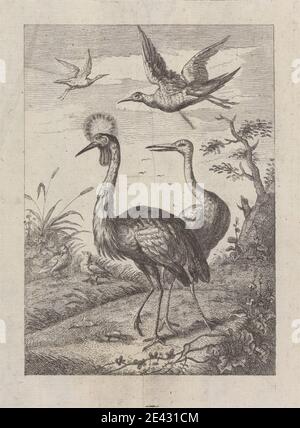 Print made by George Bickham, 1683/4â € "1758, britische, zwei Kraniche und vier andere Vögel, ein Pl. für "EIN neues Zeichenbuch ... der verschiedenen Arten von Vögeln, gezeichnet aus dem Leben von Mr. Francis Barlow" 1731 (1 von 9), 1731. Ätzung auf mittlerem, glattem, cremefarbenem Papier. Tierkunst, Vögel, Äste, Wolken, Kraniche (Vögel), Haubenkraniche (Vögel), Enten, Fliegen, Hügel, Blätter, Pflanzen, Bäume Stockfoto