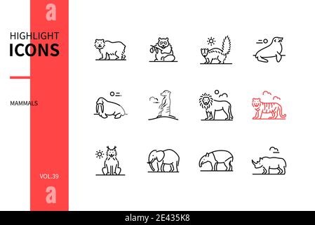 Verschiedene Säugetiere - modernes Liniendesign Stil Symbole gesetzt. Schwarzweißbilder. Verschiedene Wildtiere Sammlung. Bär, Panda, Skunk, Robbe, Walross, Mee Stock Vektor