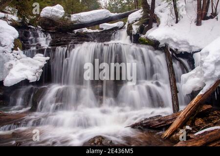 Wagner fällt in einer winterlichen Szene, aber tatsächlich im Frühjahr aufgenommen. Stockfoto