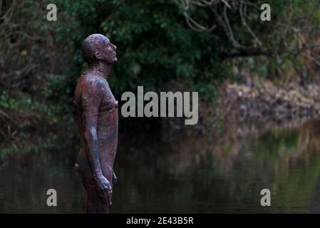 Eine von Sir Antony Gormleys '6-mal'-Skulpturen im Wasser von Leith hinter der Gallery of Modern Art, Edinburgh, Schottland. GROSSBRITANNIEN. Stockfoto