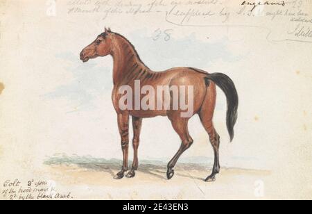 Charles Hamilton Smith, 1776â € "1859, Belgisch, Colt dritte Ausgabe von Brood Mare und zweite von der Black Arab, ca. 1837. Aquarell, Graphit, Stift und schwarze Tinte auf Medium, leicht strukturiert, creme, gewebt Papier. Tierkunst Stockfoto