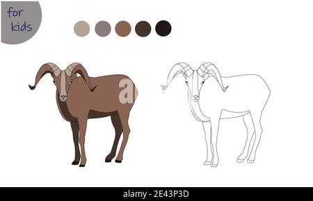 Bild für Kinder Bauernhof Tier, Bergziege, Bild nach Farben ausmalen. Stock Vektor