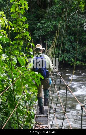 Mann, der über eine Hängebrücke im Dschungel über einen Fluss läuft Stockfoto