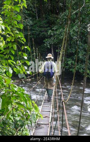 Mann, der über eine Hängebrücke im Dschungel über einen Fluss läuft Stockfoto