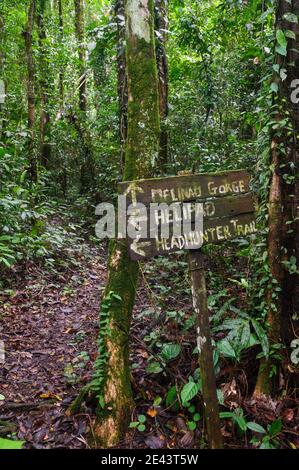 Headhunter Trail im Gunung Mulu National Park, Malaysia Stockfoto